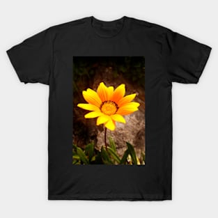 Light in the Darkness T-Shirt